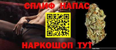 гидра Среднеуральск